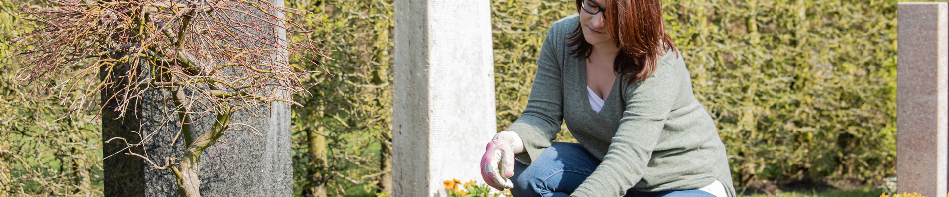 GS620167.jpg GS620167.jpg