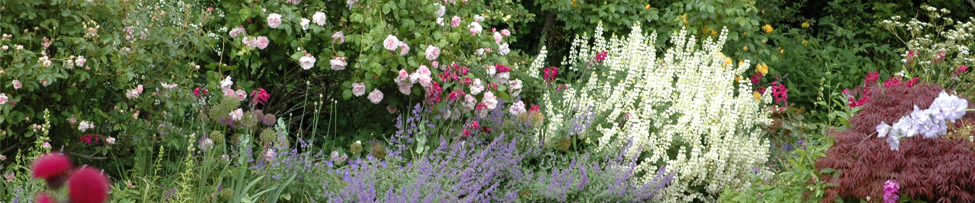 GS621468.jpg GS621468.jpg