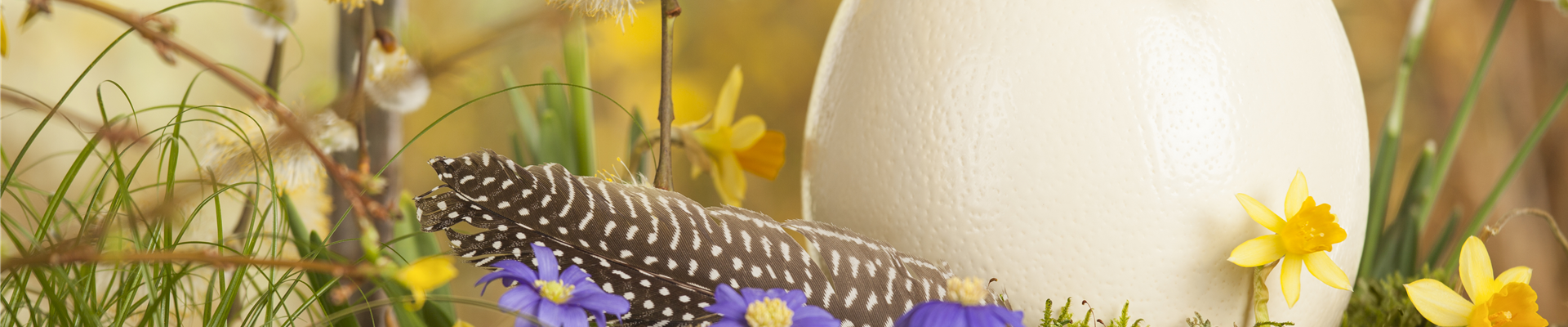 GS471161.jpg GS471161.jpg