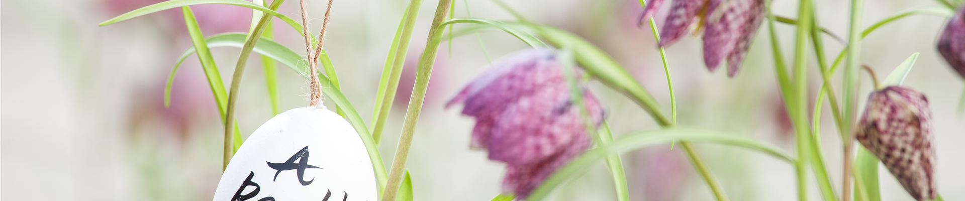 GS528136.jpg GS528136.jpg