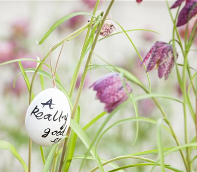 Der Garten für den Osterhasen – ein Frühlingsparadies! Der Garten für den Osterhasen – ein Frühlingsparadies!