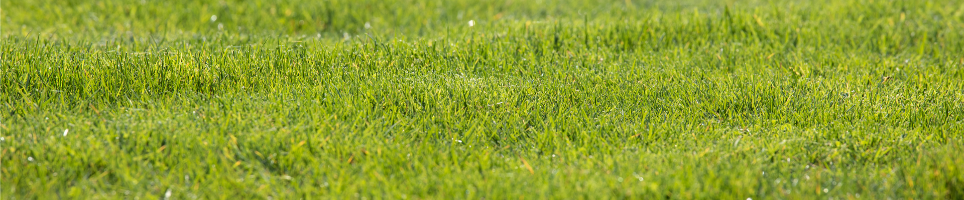 GS620194.jpg GS620194.jpg