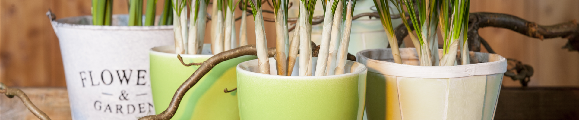 GS511807.jpg GS511807.jpg