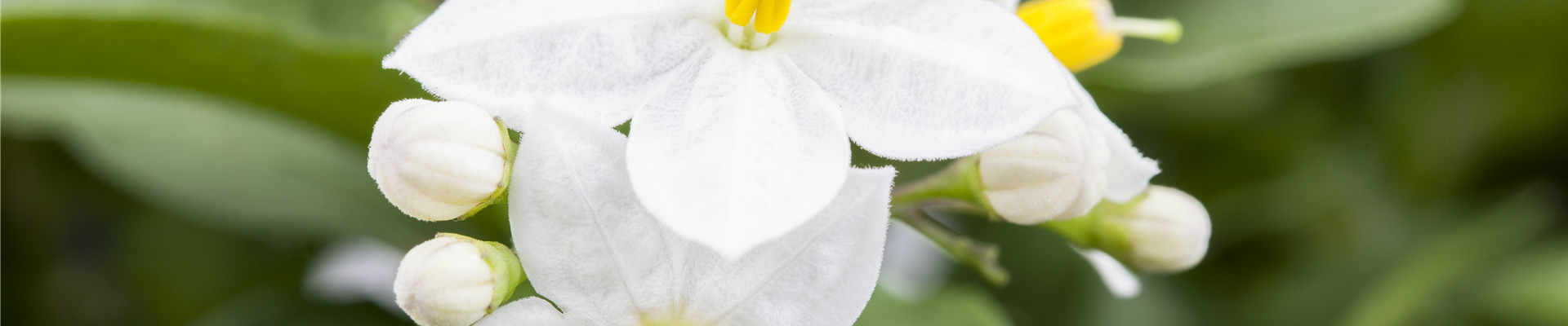 GS489907.jpg GS489907.jpg