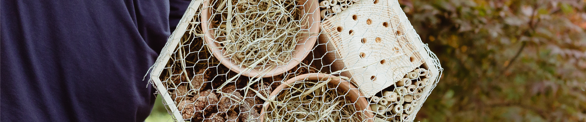 GS548834.jpg GS548834.jpg