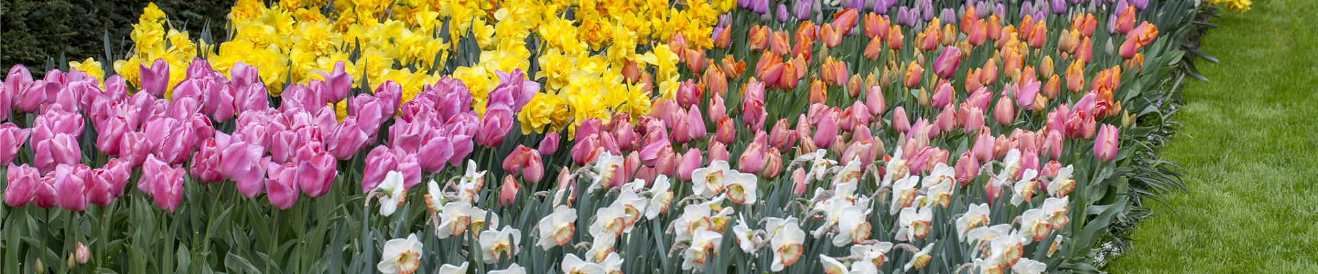 GS424223.jpg GS424223.jpg