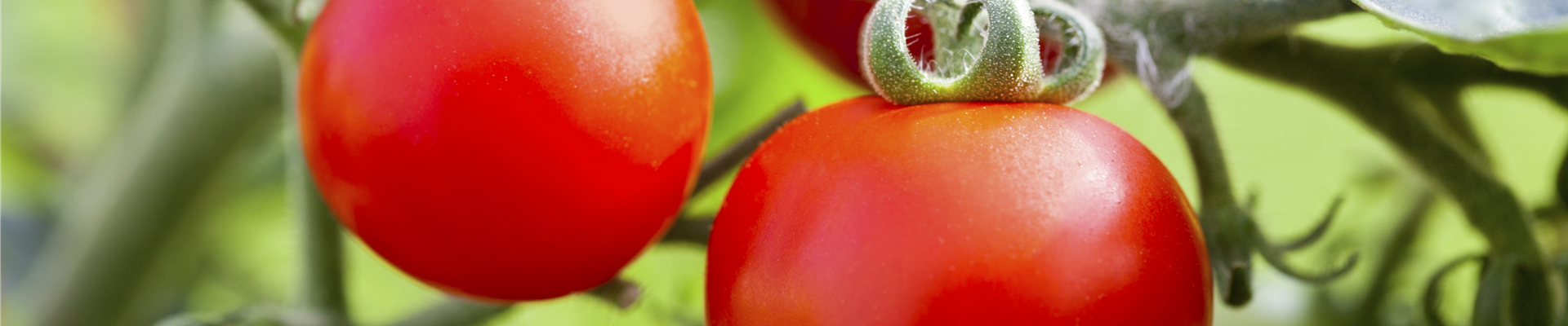 GS497730.jpg GS497730.jpg