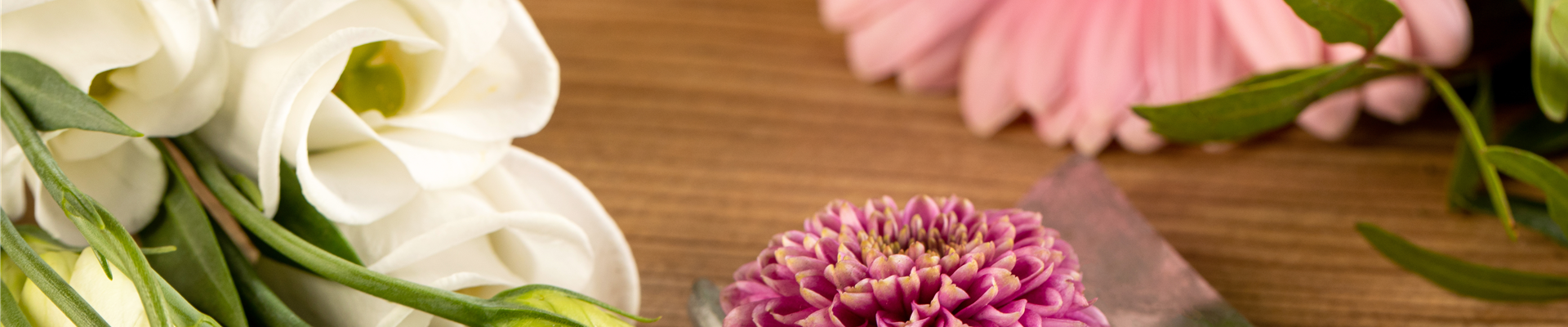 GS657551.jpg GS657551.jpg