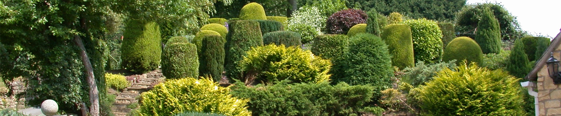 GS616326.jpg GS616326.jpg