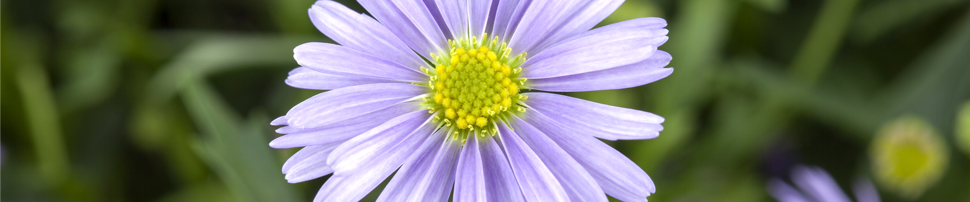 GS477516.jpg GS477516.jpg