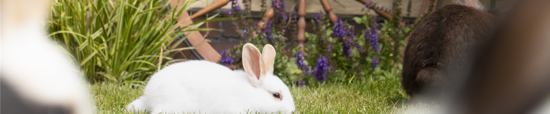 GS585939.jpg GS585939.jpg