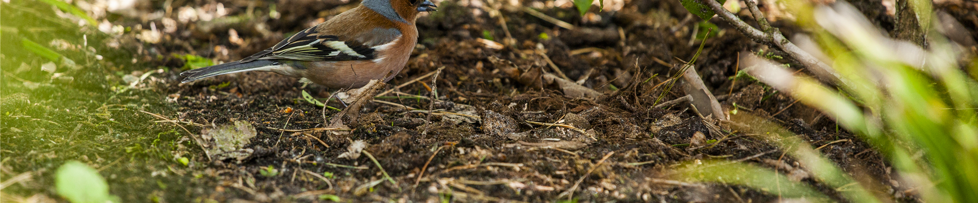 GS600451.jpg GS600451.jpg