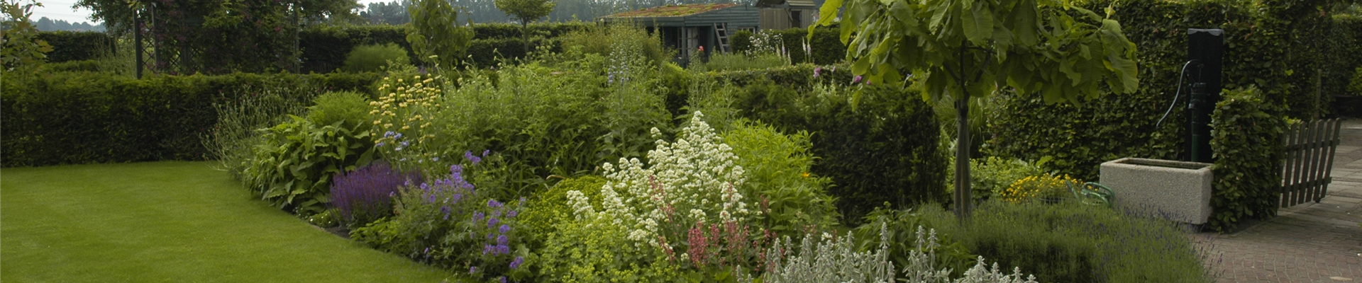 GS619970.jpg GS619970.jpg