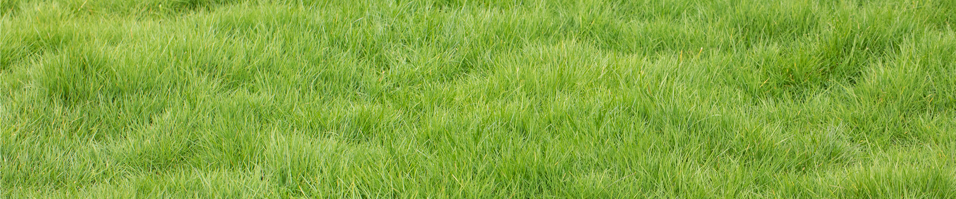 GS656893.jpg GS656893.jpg