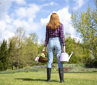 Alles auf Anfang – ein Blumenbeet anlegen Alles auf Anfang – ein Blumenbeet anlegen