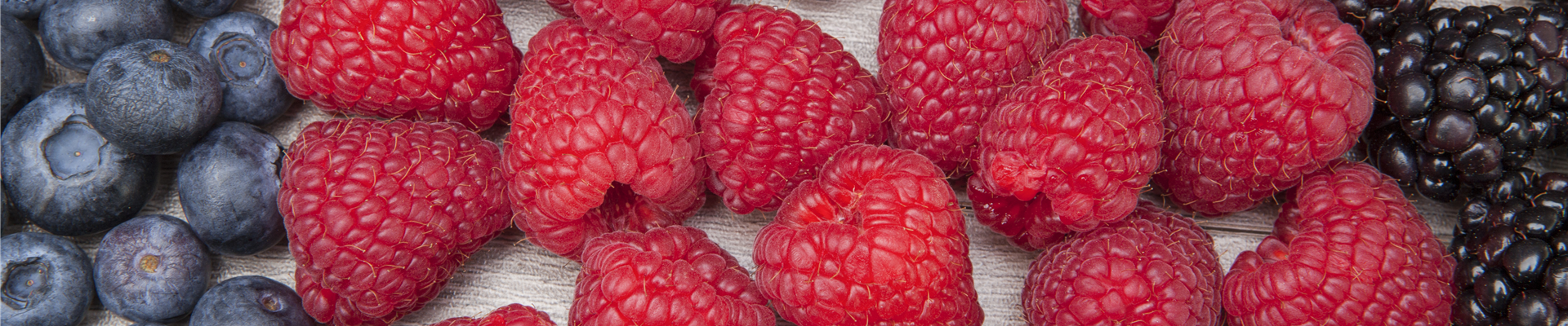 GS510183.jpg GS510183.jpg