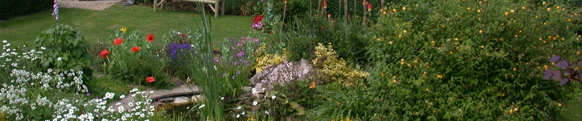 GS616286.jpg GS616286.jpg