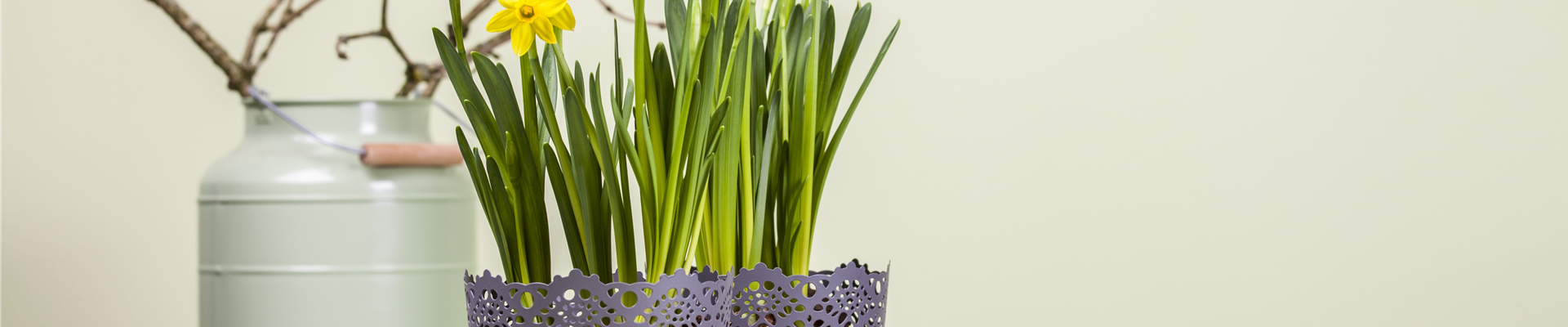 GS469978.jpg GS469978.jpg