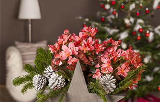 Advent - mit schönen Ideen durch die Vorweihnachtszeit  Advent - mit schönen Ideen durch die Vorweihnachtszeit