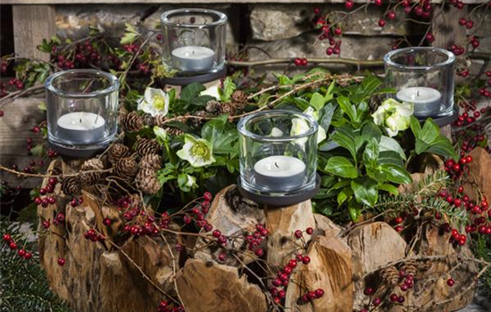 Adventskranz gestalten Adventskranz gestalten