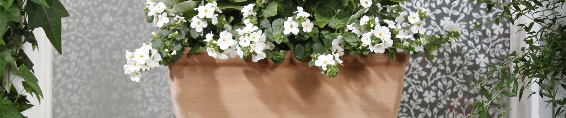 GS477872.jpg GS477872.jpg