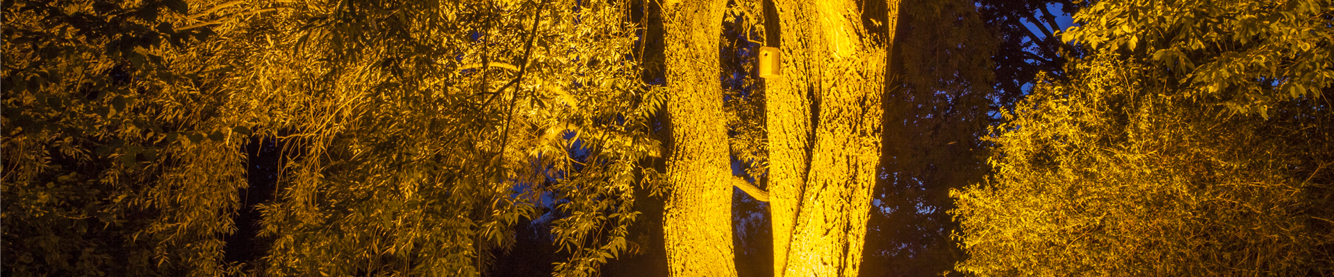 GS503653.jpg GS503653.jpg