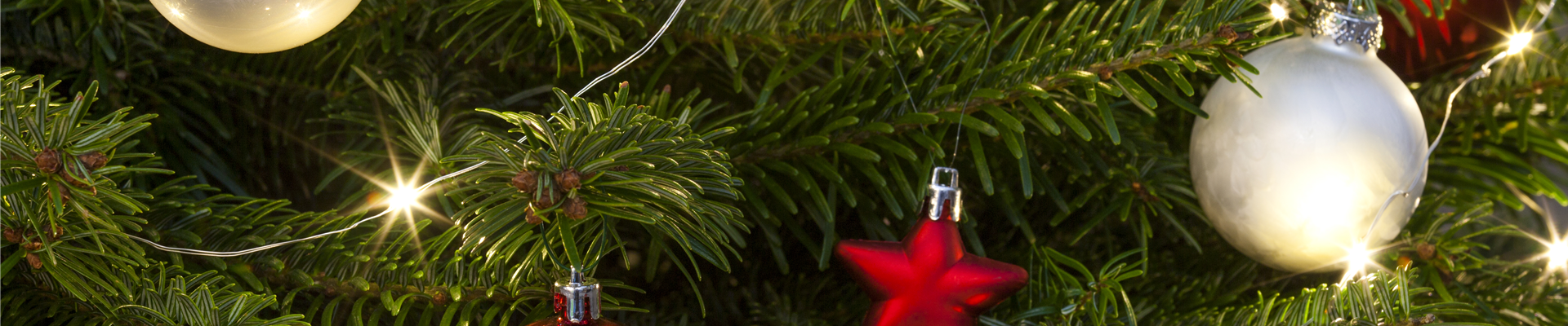 GS506366.jpg GS506366.jpg