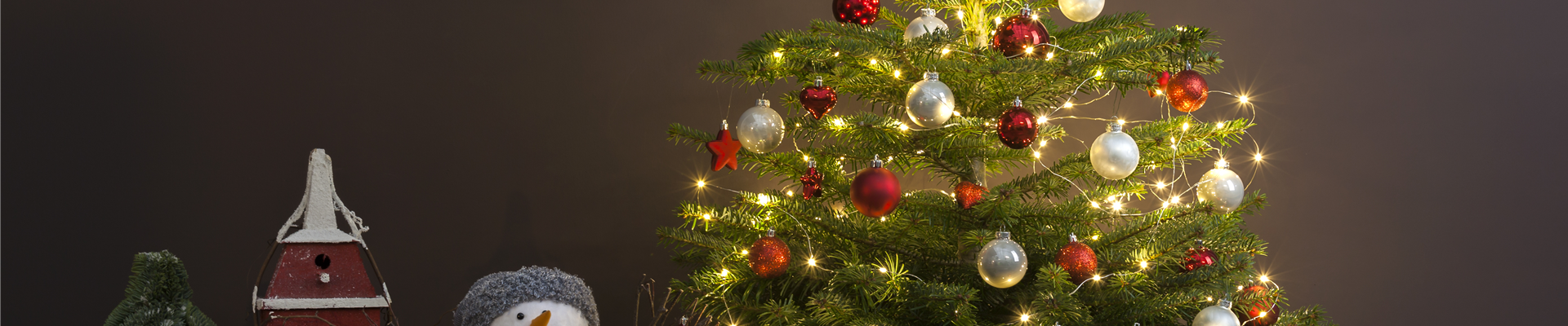 GS506371.jpg GS506371.jpg