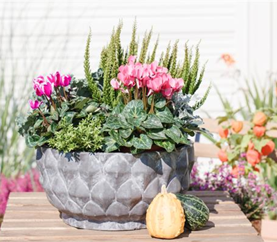 Aus alt mach neu: Blumenkübel nicht wegwerfen! Aus alt mach neu: Blumenkübel nicht wegwerfen!