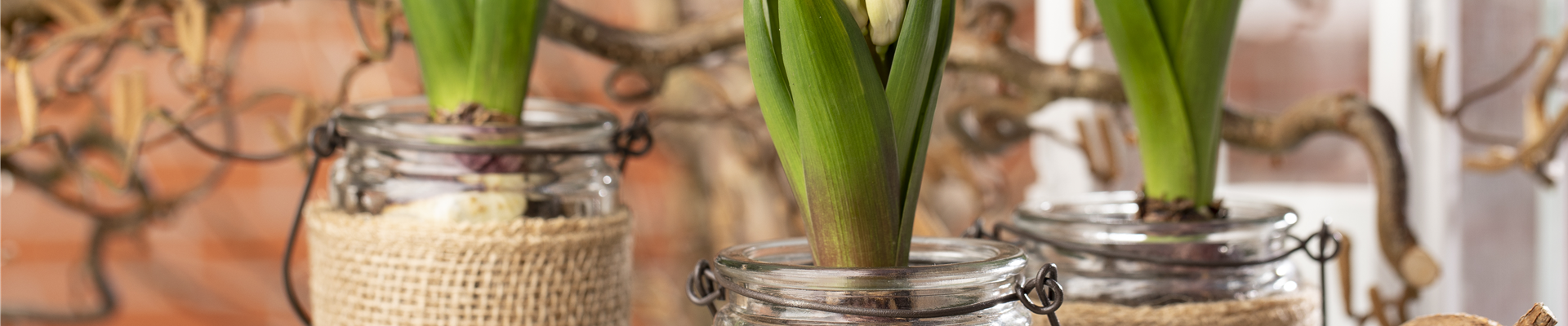 GS603806.jpg GS603806.jpg