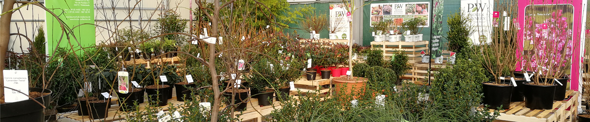 news_start_wm20-21.jpg news_start_wm20-21.jpg