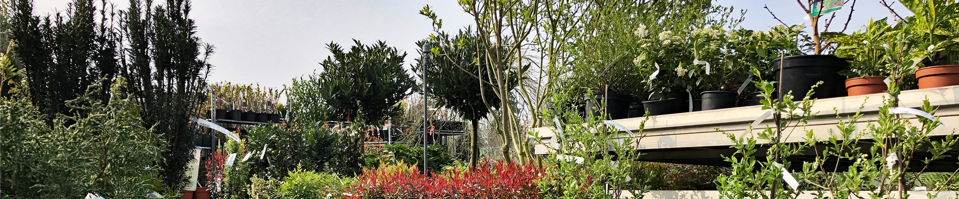 start_bzg_2021.jpg start_bzg_2021.jpg