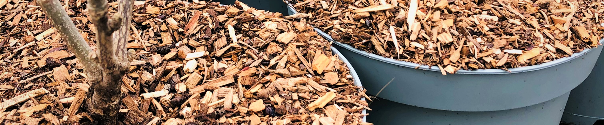 IMG_6772-.jpg IMG_6772-.jpg