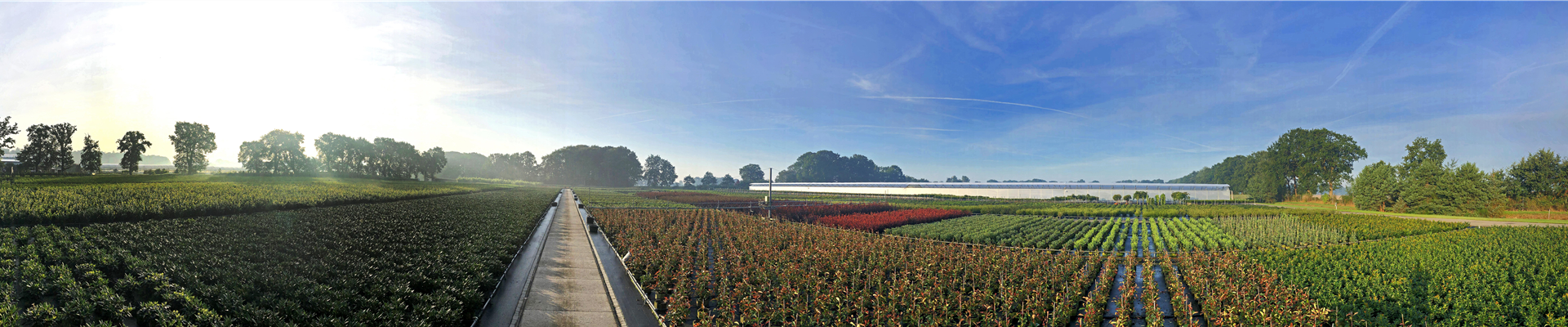 pano-betrieb-2019.jpg pano-betrieb-2019.jpg