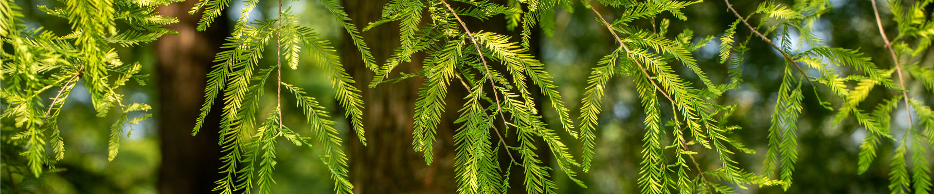 GS672362.jpg GS672362.jpg