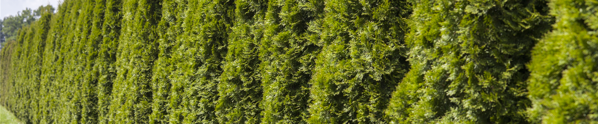 GS494373.jpg GS494373.jpg