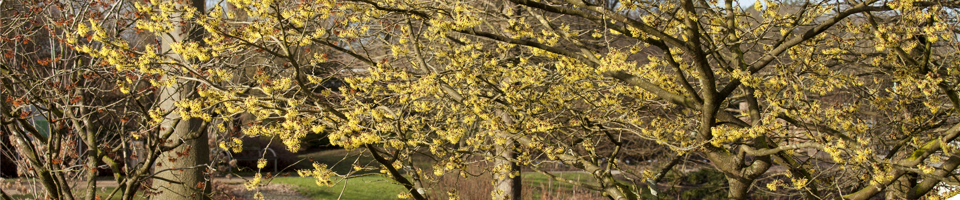 GS458356.jpg GS458356.jpg