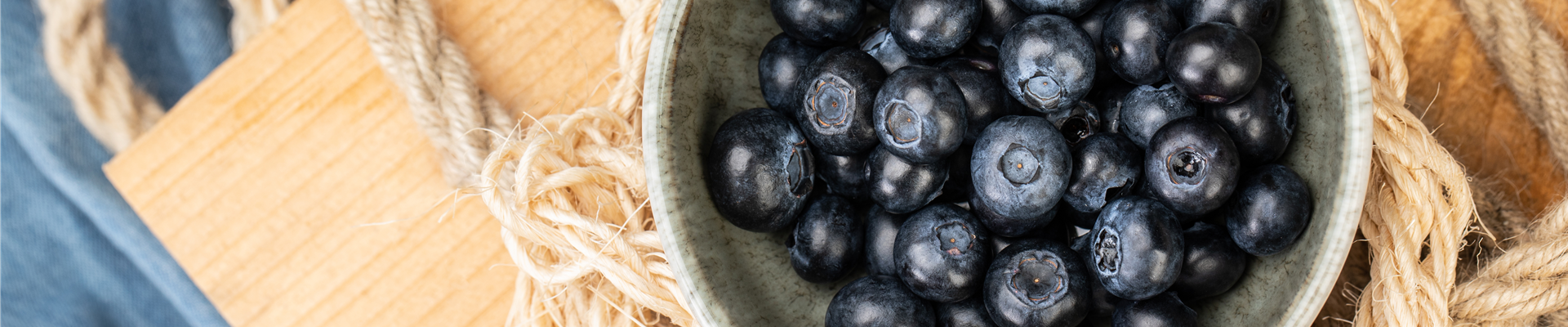 GS650296.jpg GS650296.jpg