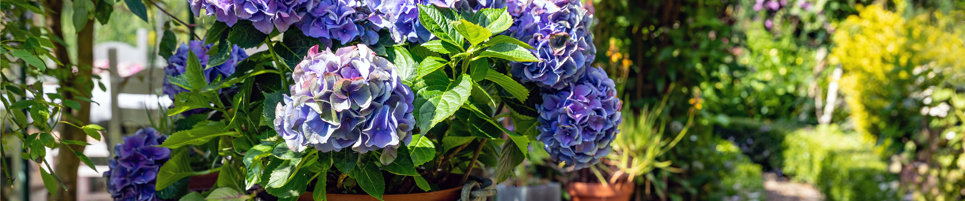 GS671899.jpg GS671899.jpg