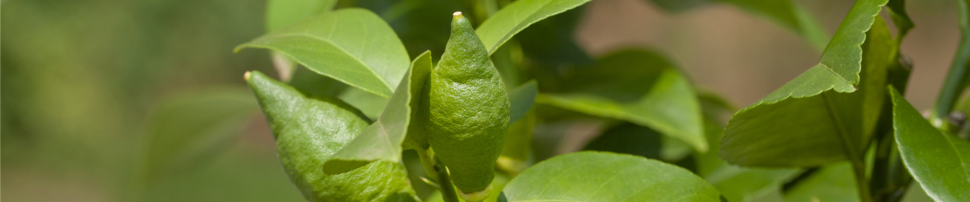 GS639802.jpg GS639802.jpg