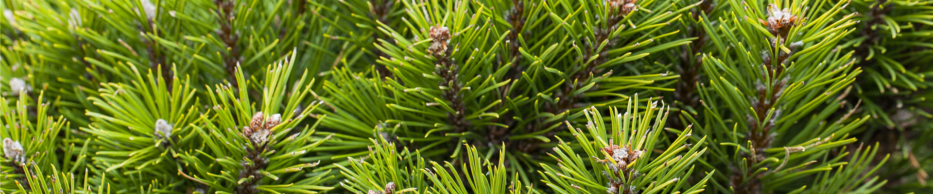 GS587077.jpg GS587077.jpg