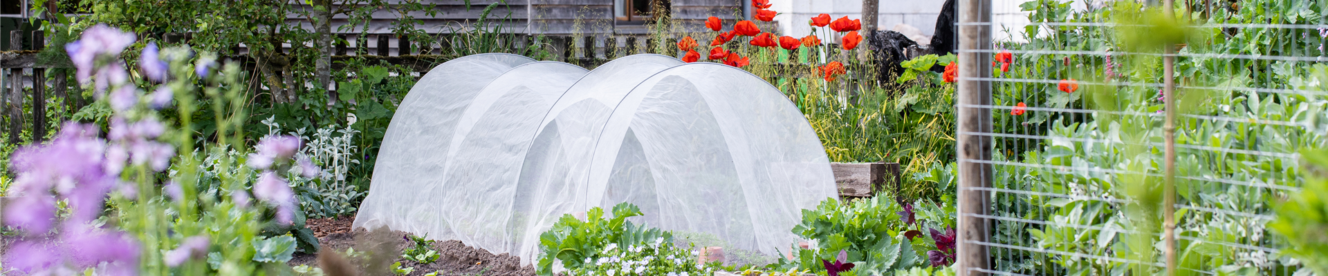 GS671271.jpg GS671271.jpg