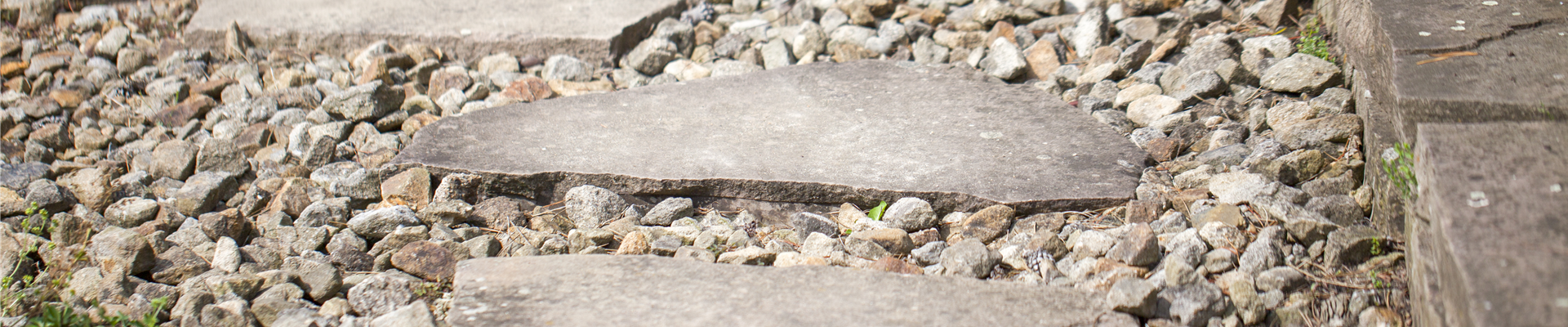 GS426143.jpg GS426143.jpg