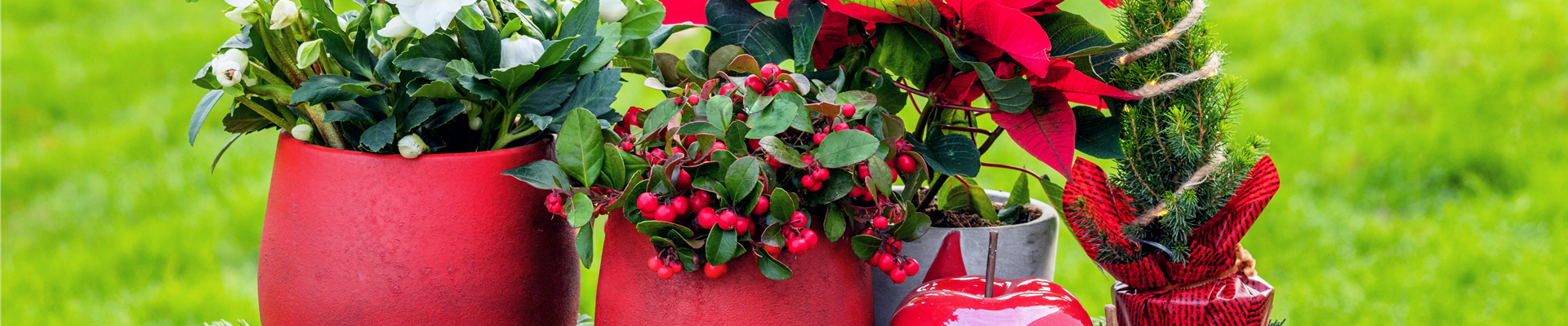 GS696869.jpg GS696869.jpg