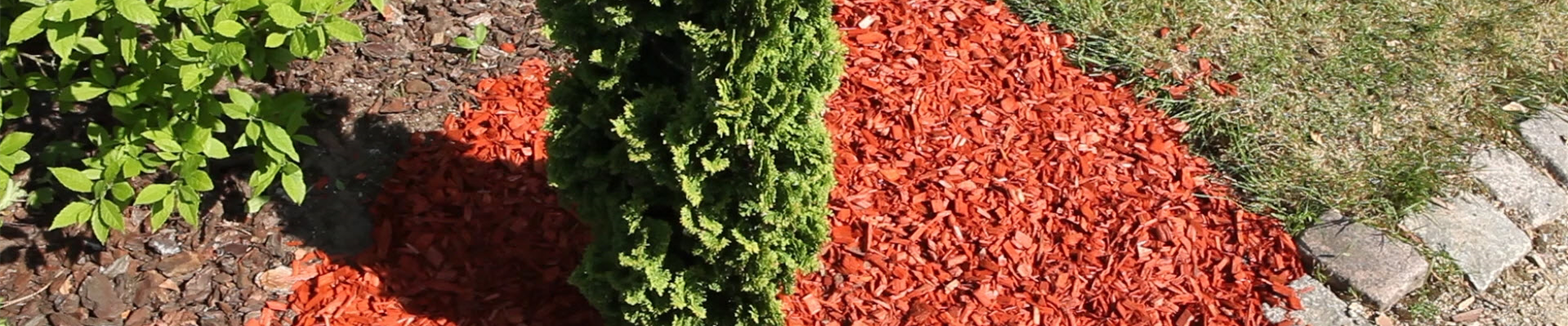 Mulch - Einsatz im Garten (thumbnail).jpg Mulch - Einsatz im Garten (thumbnail).jpg