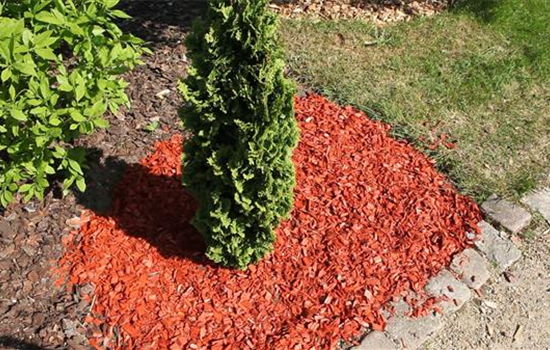 Mulch - Einsatz im Garten Mulch - Einsatz im Garten