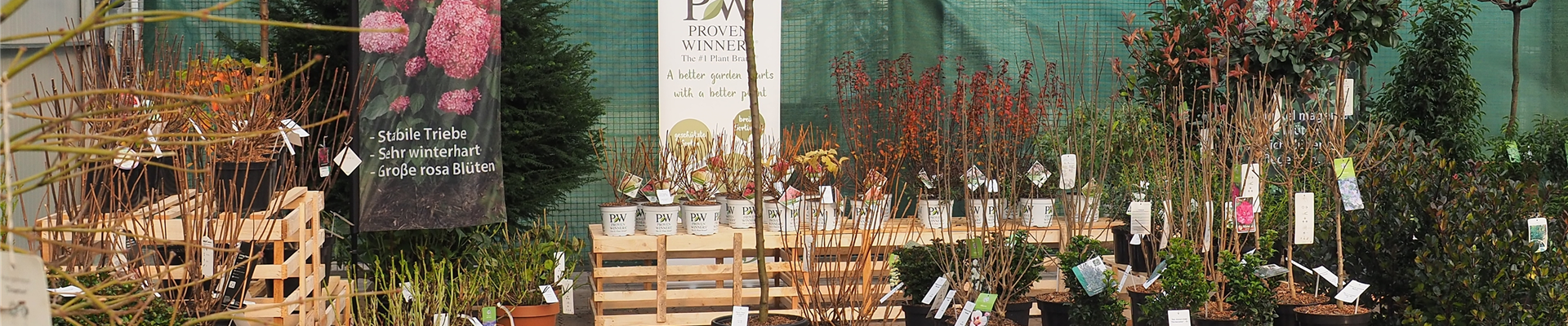 PB120684.JPG PB120684.JPG